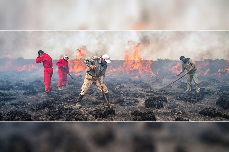 تداوم آتش‌سوزی‌های سریالی در بهشت پرندگان/محیط‌بانان خسته‌اند!