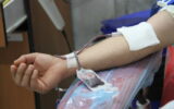 تقوی: مردم مازندران در تاسوعا و عاشورا ۱۲۰۰ واحد خون اهدا کردند