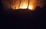 مهار آتش‌سوزی در جنگل‌های صفارود رامسر/۲ هزار مترمربع عرصه جنگلی خسارت دید