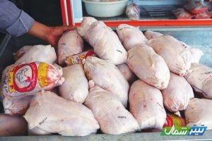 مدیرعامل اتحادیه سراسری مرغداران گوشتی: کمبودی در بازار شب عید مرغ نداریم