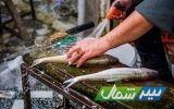 تازه‌ترین قیمت انواع ماهی دریایی و پرورشی در روزهای پایانی سال