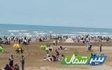 افزایش تعداد ناجیان غریق در طرح‌های دریای مازندران