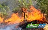 ادامه آتش‌سوزی در جنگل‌های شرق مازندران تا مهار آتش در جنگل‌های غرب استان