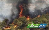 آتش به جان جنگل‌های شهیدآباد بهشهر و الندان ساری افتاد