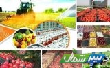 برچیده شدن نظام ارباب رعیتی در انقلاب اسلامی تا تبدیل مازندران به قطب کشاورزی