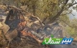 مهار آتش‌سوزی جنگل‌های نوشهر/ ۷هزار مترمربع جنگل در آتش سوخت
