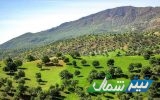 آزادسازی ۵۰ میلیاردی اراضی ملی و جنگلی در غرب مازندران