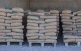 قوانلو: قیمت سیمان در سراشیبی/ افزایش تولید کارخانه‌های سیمان مازندران به ۵۰ درصد