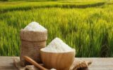 حذف تدریجی برنج شمال از شالیزار و سفره