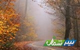 کلیپ | طبیعت پاییزی مازندران