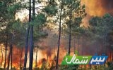 مهار موقتی آتش‌سوزی در جنگل‌های دودانگه ساری/درخواست بالگرد برای اطفای حریق جنگل‌های عباس‌آباد