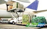 هواپیمای کارگو آماده صادرات مرکبات مازندران/محدودیت تعرفه صادراتی برنج برداشته شد