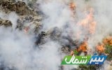 آتش در عرصه‌های جنگلی شهیدآباد بهشهر و الندان ساری مهار شد