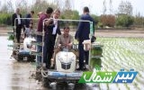 حسینی‌پور: واردات خیانت به محصول برنج مازندران است