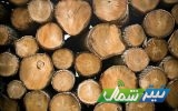 کشف ۶ تن چوب جنگلی قاچاق در ساری