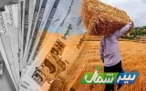 پرداخت ۹۰۰ میلیارد تومان از مطالبات گندمکاران مازندران