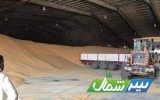ترخیص و تخلیه محموله سه هزار تنی ذرت‌های آلوده از انبارهای بندر امیرآباد مازندران