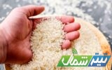 خرید توافقی ۱۰۰۰ تُن برنج پرمحصول در مازندران