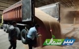 ترخیص ۶ هزار تن گندم از انبارهای بندر امیرآباد