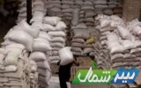 ۱۰ هزار تن برنج سال گذشته در مازندران خریداری شد/زمان خرید برنج پرمحصول سال ۱۴۰۱ تا پایان مهرماه