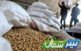 ۹ مرکز خرید تضمینی سویا در مازندران راه‌اندازی شد/آغاز عملیات خرید از اواخر مهرماه