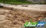 سیل به پل‌های روستایی غرب استان خسارت وارد کرد