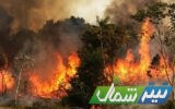 وقوع آتش‌سوزی در جنگل‌های غرب مازندران و درخواست بالگرد برای اطفای حریق
