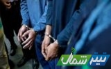 دستگیری ۲۴ نفر از اراذل و اوباش مازندران در عمليات ضربتی پليس