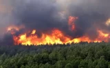 عامل انسانی علت آتش‌سوزی ۲ هکتار از جنگل‌های راش نور/۶۰ درصد حریق اطفا شد