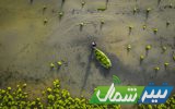 غافلگیری کشاورزان میاندورودی با مدیریت آب‌منطقه‌ای مازندران