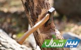 دستگیری عامل قطع درخت در جنگل افراسان مازندران