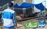 تایید سلامت ۶ هزار و ۸۰۰ راس دام زنده توسط دامپزشکی مازندران