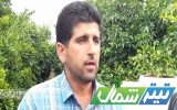 فیلم|پای زنجیره توزیع مرکبات لنگ می‌زند/قیمت منطقی در گرو احتساب واقعی هزینه تمام شده