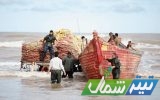 دست صیاد رو به آسمان است/ موج سواری روی وعده ها