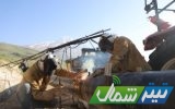 اجرای ۱۲۰ کیلومتر شبکه‌گذاری گاز طبیعی در استان مازندران