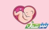مواد غذایی پرخطر راهی نامرئی به سوی افزایش خطر سقط جنین