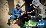 آغاز واکسیناسیون گسترده دام‌ها علیه تب برفکی در مازندران