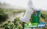 اجرای «سند جامع سامان‌دهی سموم آفت‌کش» در مازندران