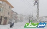 سیمبانانِ توزیع برق مازندران، حماسه‌سازانِ روشنایی در دلِ برف و بوران
