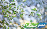 بارش باران و کاهش دما در مازندران / برف و تگرگ در ارتفاعات دور از انتظار نیست