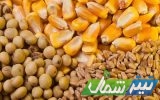 تأمین فوری نهاده‌های دامی دامداران مازندران