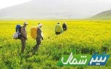 ۱۳ فروردین آسمان مازندران آفتابی است