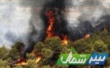 آتش در «اوز» نور مهار شد