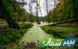 زمینِ زخمی، چشم‌انتظار عهد تازه انسان با طبیعت