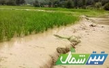 دسترنجی که آب بُرد! دسترنجی که آب بُرد!