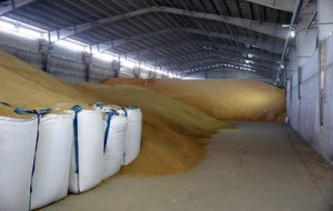 احتکار ۲۰ هزار تن نهاده دامی لو رفت