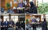 تجلیل از مدیرعامل شرکت برق منطقهای مازندران و گلستان به پاس مجاهدتهای دوران دفاع مقدس تجلیل از مدیرعامل شرکت برق منطقهای مازندران و گلستان به پاس مجاهدتهای دوران دفاع مقدس