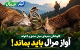 آواز مرال باید بماند! آواز مرال باید بماند!